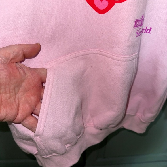 Sesame Street 2012 NEW Light Pink GIRL Hoodie - Picture 4 of 7